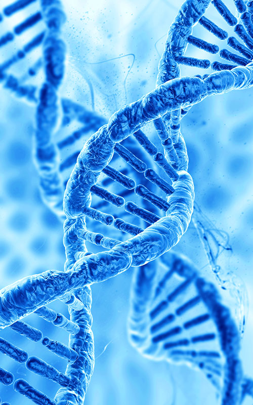 Anhua Bio lanza producto PDRN: Reconstrucción de la cadena de suministro global de materias primas para la regeneración de tejidos con biología sintética